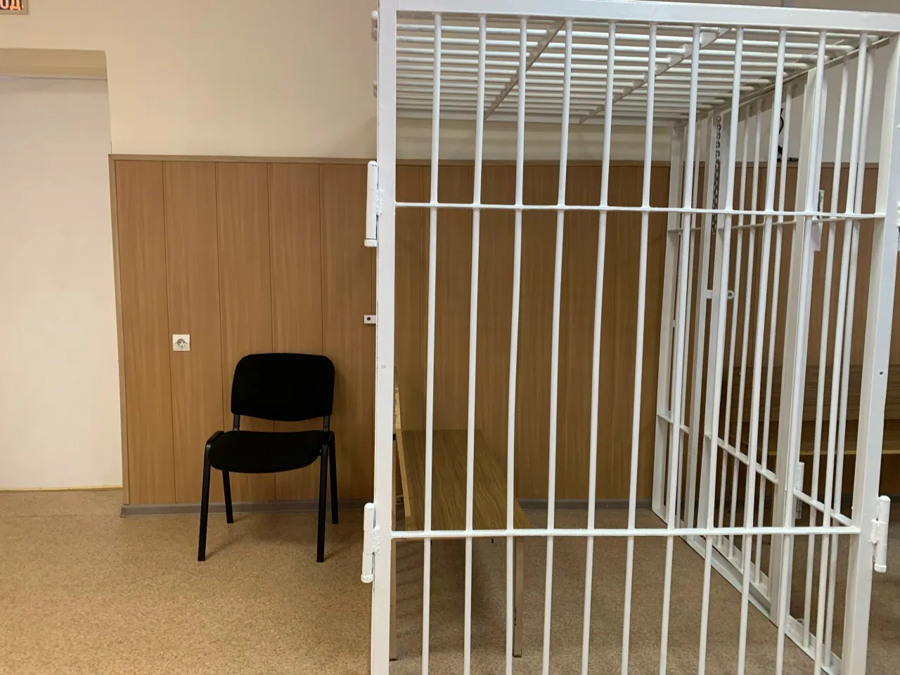 Прокуратура направила в суд дело жителя Челябинской области, выбросившего собаку из окна