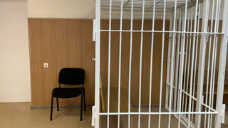 Прокуратура направила в суд дело жителя Челябинской области, выбросившего собаку из окна