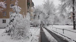 Прогноз погоды в Челябинской области заставил внести коррективы жителей в свои планы