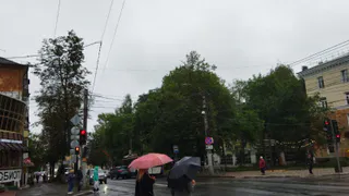 Синоптики вновь прогнозируют сильные дожди и грозы в Челябинской области