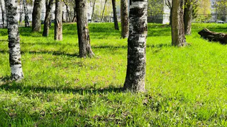 Антициклон принесёт аномальное тепло на Южный Урал: погода на 28 мая