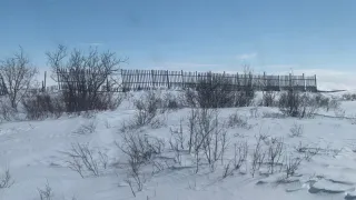 С конца ноября начнется то, чего не было с 1820 года: синоптики просят подготовиться к настоящему климатическому безумию