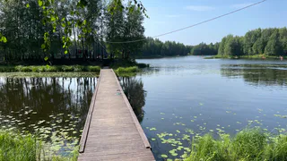 В Челябинской области сохранится жаркая погода 19 июня