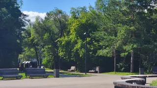 В Челябинской области ожидается жара до +26 градусов: синоптики рассказали о погоде на 26 июня