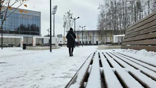 Снова заклеивать окна газетами как в старину? Синоптики предупредили о зиме, которой не было с 1772 года