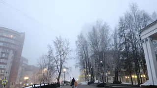 Атлантический циклон принесёт в Челябинскую область осадки и усиление ветра