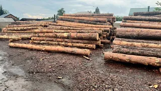 Таможенники Челябинской области пресекли крупную контрабанду местного леса