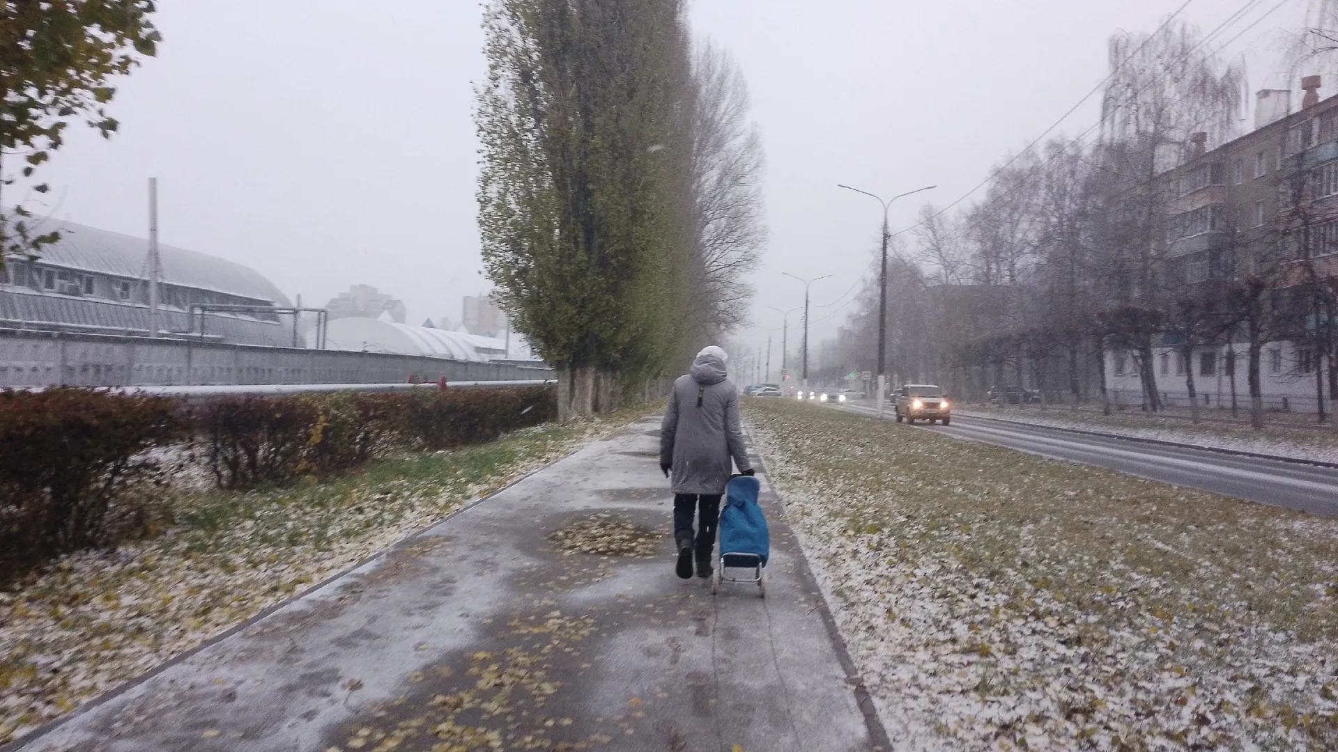 Пенсионеров старше 65 лет будут проверять с 20 декабря: вот, что надо сделать уже сейчас