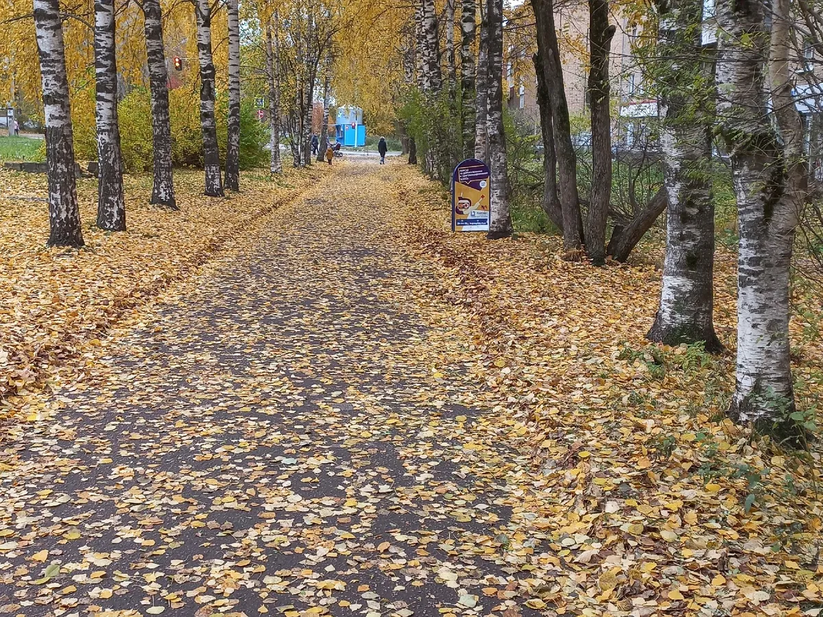 В Челябинской области в День знаний потеплеет до +18 градусов: синоптики рассказали о погоде на 1 сентября