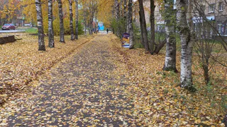 В Челябинской области в День знаний потеплеет до +18 градусов: синоптики рассказали о погоде на 1 сентября