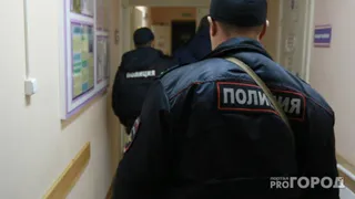 Преступление века: в Магнитогорске полицейские раскрыли кражу детских санок