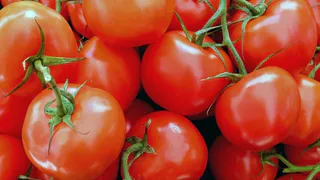 Сделайте эти хитрости с землей в конце апреля - мясистые помидоры будут обеспечены