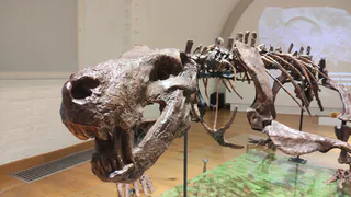 Челябинская область отмечает Международный день музеев