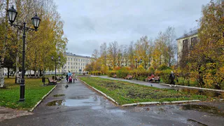 Северный воздух продолжает охлаждать Челябинскую область