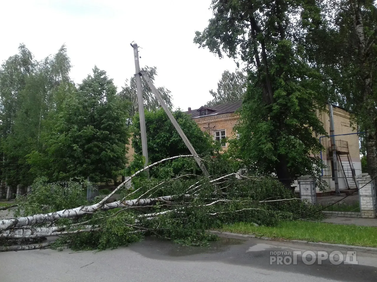 В Магнитогорске дерево упало на ребенка во время бури