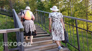 "С 4 октября станет бесплатным для всех пенсионеров": в России вводится новая льгота