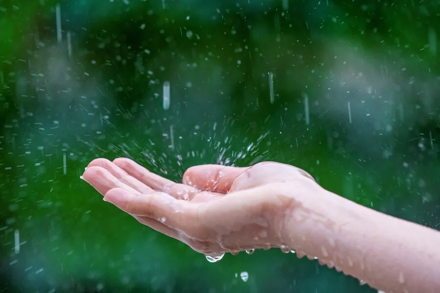Утренний туман, дожди и похолодание до +12°C: погода на Южном Урале