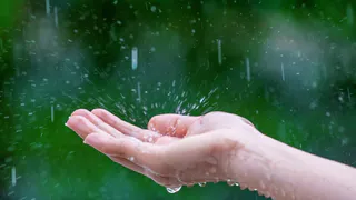 Утренний туман, дожди и похолодание до +12°C: погода на Южном Урале