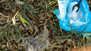 Магнитогорск продолжает борьбу за чистоту и подводит итоги двухнедельной уборки города