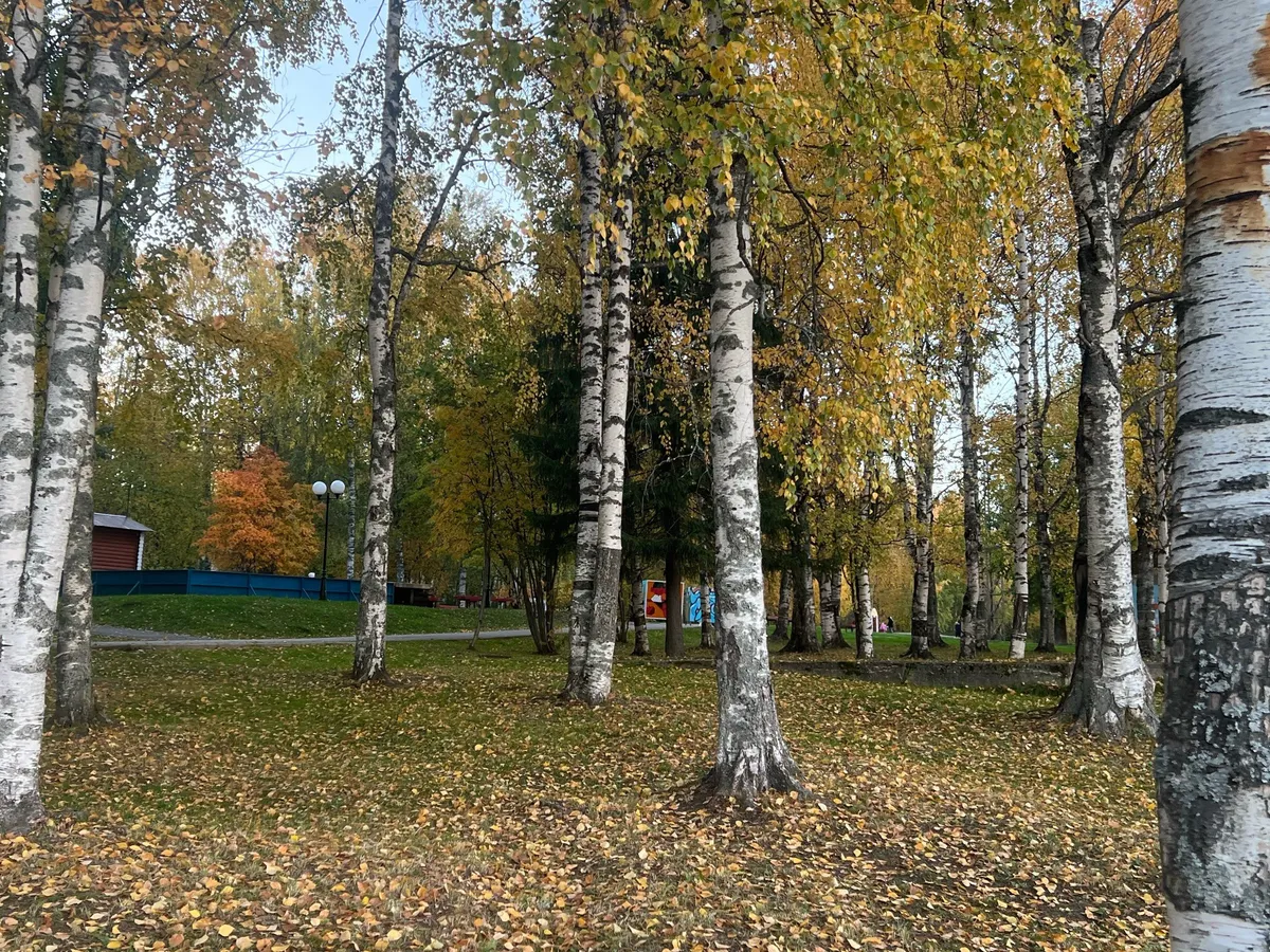 В Челябинской области ожидаются ночные заморозки до -9 градусов: синоптики рассказали о погоде на 20 октября 