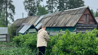 Обрезка малины осенью: сроки, правила и полезные лайфхаки, которые увеличат плодоношение