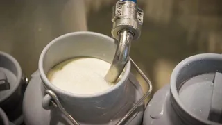 Крашеная вода мелом: Росконтроль назвал марки молока, которые не рекомендует брать даже даром