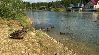 В Челябинской области ожидается 30-градусная жара: синоптики рассказали о погоде на 25 августа