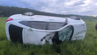 Трагическое ДТП с лосем в Челябинской области унесло жизнь двоих: погибли водитель и животное