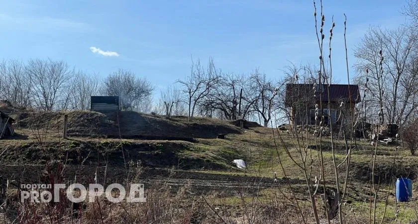Черемуховые заморозки обрушатся на Россию и покосят урожай: как спастись от этой беды