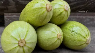 Рецепты из кабачков на зиму: простые и очень вкусные заготовки