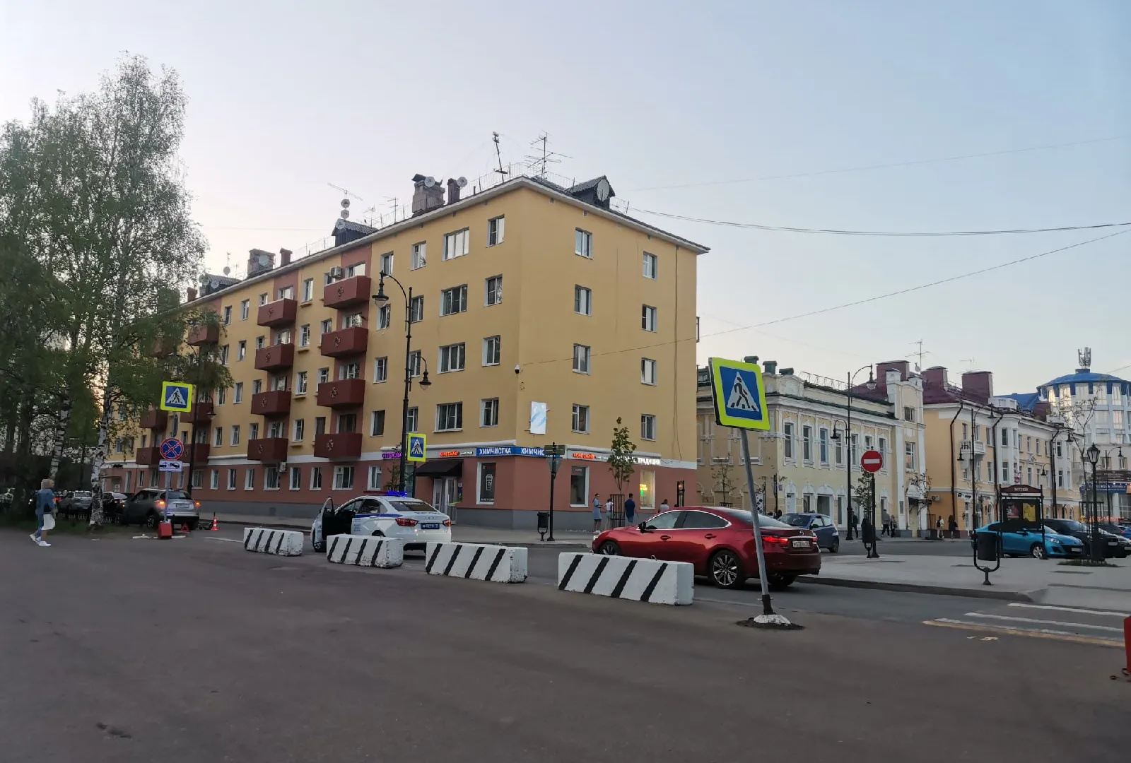 Под Челябинском автомобилисты бросили умирающего быка на автотрассе
