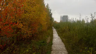 Синоптики предупредили о похолодании и порывистом ветре в Челябинской области