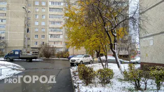 Синоптики сообщили, когда в Челябинской области выпадет снег
