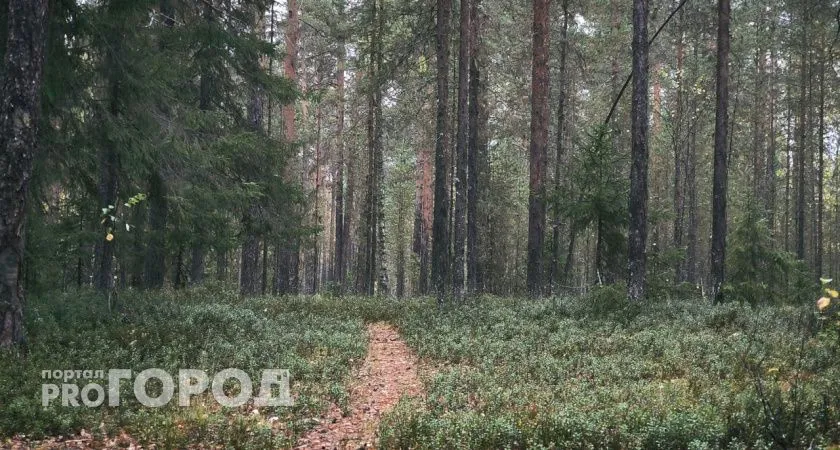 Счастье стучится в двери: Тамара Глоба назвала знаки зодиака, которым крупно повезет с 4 октября