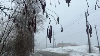 Приближается самый холодный день: по словам Вильфанда, в начале июня ожидаются ливни и заморозки