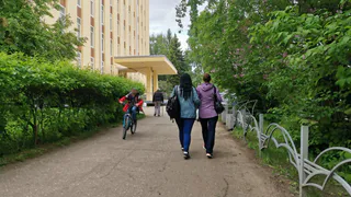 Теперь все стало понятно: ученые выяснили, кто из родителей передает свой интеллект ребенку