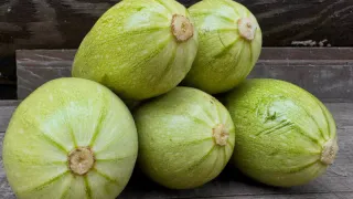 Рецепты из кабачков на зиму: легкие и очень вкусные заготовки