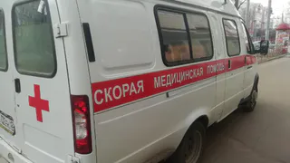 Замечание о собаке обернулось жестокой расправой: в Магнитогорске избили мужчину