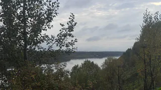 В Челябинской области потеплеет до +21 градуса: синоптики рассказали о погоде на 1 октября