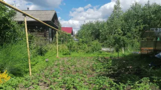 Сразу заберут участок: всем, кто владеет землей - новые требования с августа