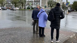 Теперь не важно, успел ли пешеход ступить на зебру: в ГАИ водителям разъяснили, как по-новому уступать дорогу