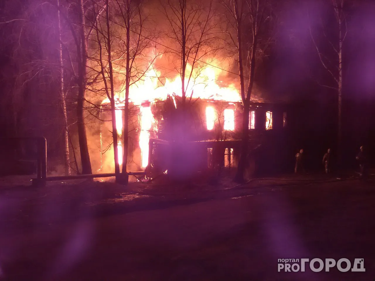 В Челябинской области при пожаре в частном доме умерли два человека