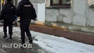 В Магнитогорске полиция раскрыла нападение на мужчину за замечание о выгуле ротвейлера без намордника
