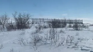 Аномальная жара нагрянет уже в декабре: синоптики рассказали о сюрпризах, которые приготовила россиянам зима 2024
