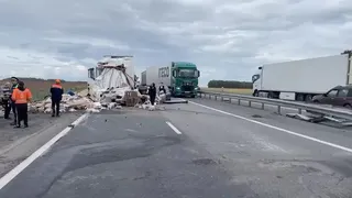 В Челябинской области в жутком ДТП погибли 4 человека