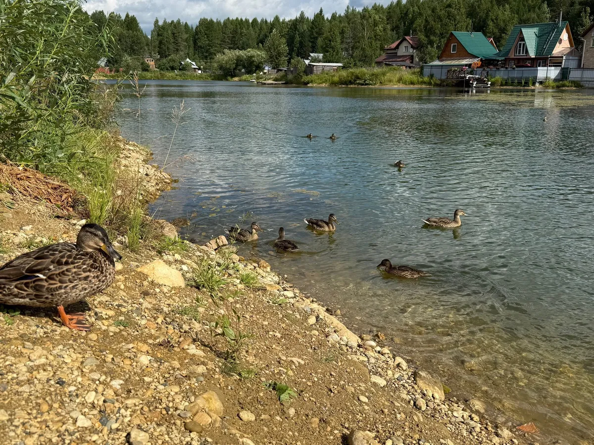 Синоптики прогнозируют до +28°C в Челябинской области 6 сентября и резкое похолодание к середине недели