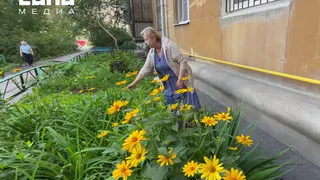 Пожилую женщину, которая отругала подростка за сорванный с клумбы цветок, отдали под суд