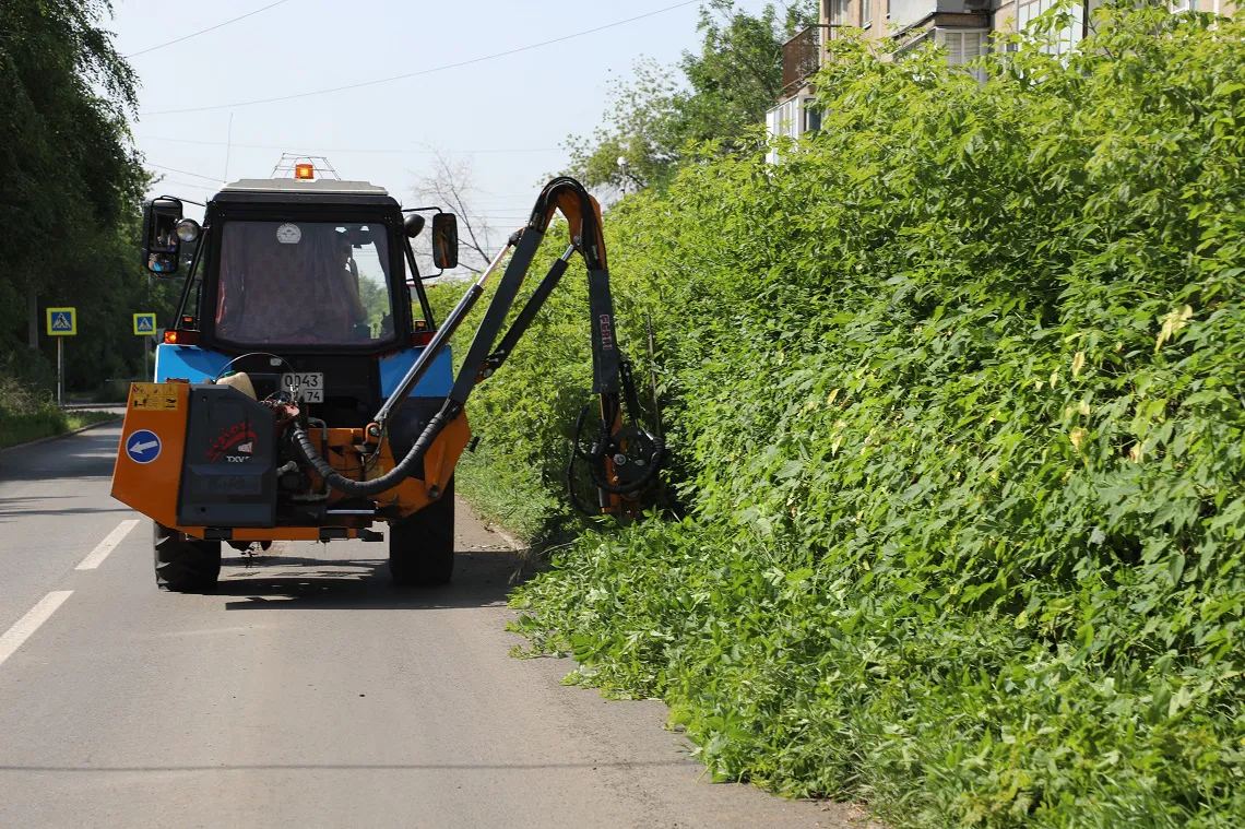 На улицах Магнитогорска работают "зеленые парикмахеры"