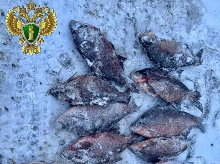 Прокуратура направила в суд дело о незаконном лове рыбы на водохранилище в Челябинской области