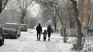 Жителей Челябинской области ждёт чередование снегопадов и тёплой погоды